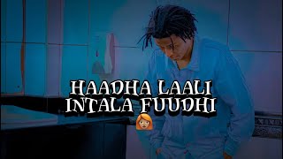 Diree Boy  West Guy   Haadha laali intala fuudhi   Best Lyrics Video  2024 [upl. by Avonasac830]