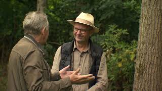 Van Droom tot Tuin Seizoen 2  Aflevering 9  Tuin met accent op landschap [upl. by Manoop838]