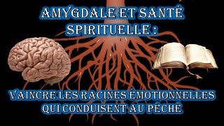 Amygdale et santé spirituelle [upl. by Antone152]