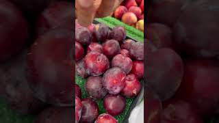 satisfying Buying Pluot from Farmers Market Apricot and Plum Breed plum apricot fruits shorts [upl. by Nocaed244]