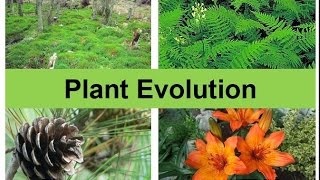 Plant Evolution updated [upl. by Goldshlag]