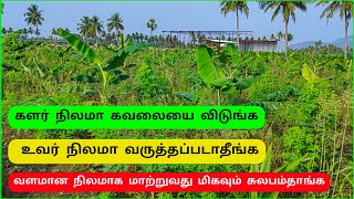 களர் மற்றும் உவர் நிலத்தை மிக சுலபமாக வளமான நிலமாக மாற்றி விடலாம் வாங்க  Straw mulching tamil [upl. by Sucam916]