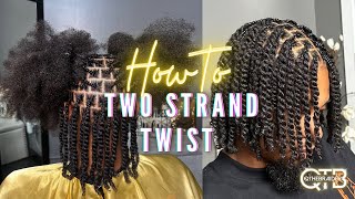 Perfect Two Strand Twist [upl. by Gary]