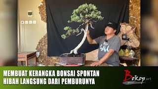 RESTORASI JUNIPERUS CHINENSIS BLUE [upl. by Pammy984]