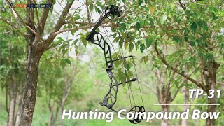 Adults Compound Bow  Hunting Style [upl. by Sigismondo]