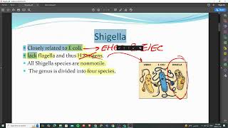 12 part 2 shigella and salmonella microbiology [upl. by Htesil263]