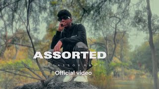 ASSORTED  PICASSO  FT shabdbaazmusic3579 [upl. by Ahseela]