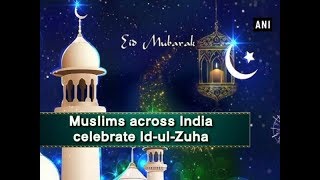 Muslims across India celebrate IdulZuha  ANI News [upl. by Naeroled]