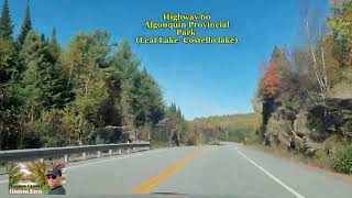 quotRoad Trip to Highway 60 Algonquin Parkquot [upl. by Weisman]