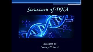 DNA Structure and Function in Hindi  Molecular Basis of Inheritance Part 1  Biology Class 12NEET [upl. by Beisel262]