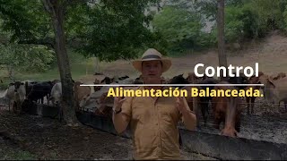 Control ALIMENTACIÓN BALANCEADA [upl. by Immij]