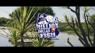 In Search of the Million Dollar Fish  SHIMANO FISHING [upl. by Ivers]