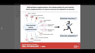 Effets dune supplémentation en corps cétoniques en postworkout [upl. by Kreindler576]