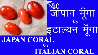 Japan Coral Vs Italian Coral  Real  Fake  in hindi  in English 4C  मूँगा  How to test Coral [upl. by Aileduab]