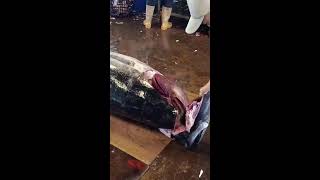 Amazing Giant Bluefin Tuna Cutting Skill [upl. by Neiht]