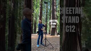 The Cheetah Stand c12 Light Stand As tall as a GIANT redwood [upl. by Ykvir]