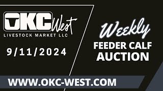 9112024  OKC West Feeder Calf Auction [upl. by Akemeuwkuhc]