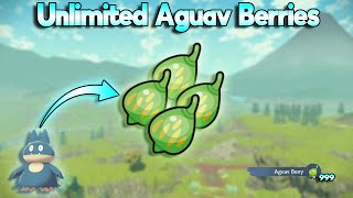 Fastest Ways To Get Aguav Berries In Pokemon Legends Arceus [upl. by Aiceila]