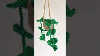 Car hanger crochet plant [upl. by Jasen]