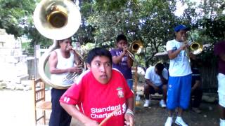 BANDA DE VIENTOquotCHICOMETEPETLquot DE CUAHUITZIL CHICONTEPEC VER [upl. by Enilrae]