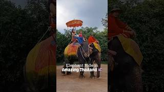 THE ELEPHANT RIDE IN THAILAND IS ONE OF THE BEST EXPERIENCES EVER thailandtourism familytravel [upl. by Ainotahs]