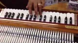 Pakrashi Harmonium tonal Demo [upl. by Swaine841]