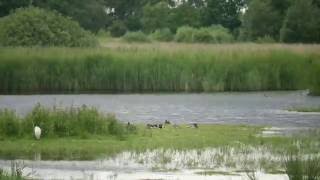 Hickling Broad Time Lapse [upl. by Jepum]