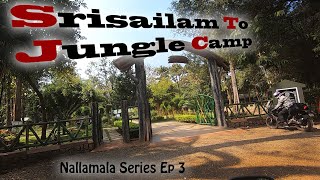 Nallamala Series Ep 3  Srisailam to Camp Nagarjunasagar Tiger Reserve [upl. by Bonnell573]