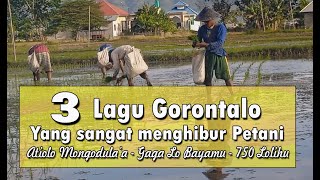 3 LAGU GORONTALO YANG SANGAT MENGHIBUR PARA PETANI DI SAWAH DI SAAT MEREKA SEDANG BEKERJA [upl. by Metcalf]