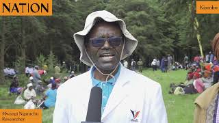 Kill the butterflies Kiambu farmers want farmlands fumigated due to infestation [upl. by Annis299]