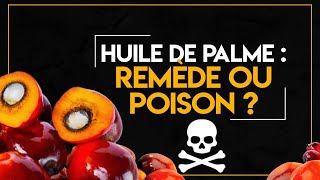 7 VERITES SUR LHUILE DE PALME ROUGE AFRO [upl. by Otrebide304]