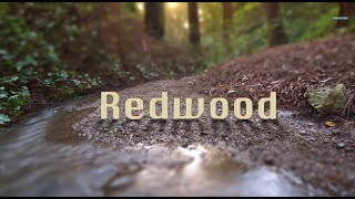 California Redwood National Parks [upl. by Joacima645]