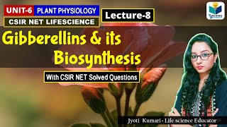 GIBBERELLIN AND ITS BIOSYNTHESIS PHYTOHORMONEPART8CSIR NET [upl. by Ishmael]