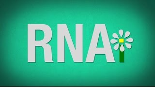 RNAi Based Insecticidal Crops Risk Awareness [upl. by Nairod995]