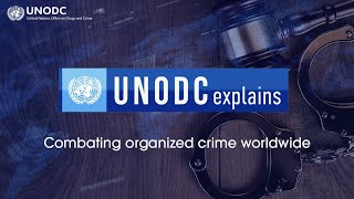 UNODC explains 📢 about combating organized crime worldwide [upl. by Hardwick]