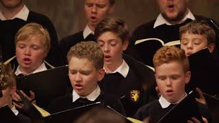 Georg Friedrich Händel Hallelujah Messiah  Tölzer Knabenchor [upl. by Weinhardt]