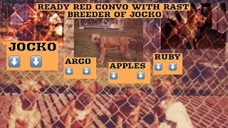 INTERVIEW WITH BOB RAST BREEDER OF JOCKO 12 OF THE WORLD FAMOUS REDBOYJOCKO PITBULL BLOODLINE [upl. by Eillat]