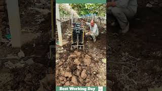 Best working day 1875 Ploughing process in the vineyard [upl. by Eiboj146]