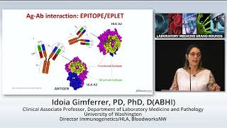 HLA and Transplantation [upl. by Geilich1]