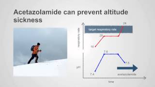 Acetazolamide amp PotassiumSparing Diuretics Uses amp Insights [upl. by Lienet]