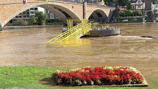 Hochwasser  Cochem an der Mosel  Aktuelle Lage am 11102024 [upl. by Dranreb813]