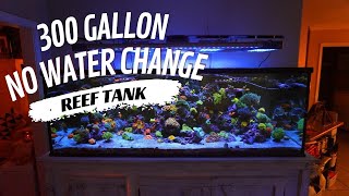 300 GALLON Reef Tank Perfection ZERO Water Changes All Beauty 4K [upl. by Grimona177]