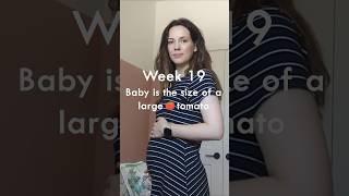 19 weeks pregnant baby development [upl. by Isdnyl]