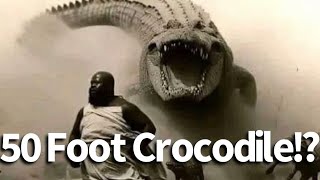 50 Foot Crocodile Seen in the Congo [upl. by Pretrice752]