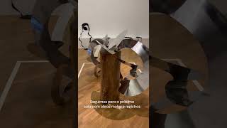 Lygia Clark na Pinacoteca de São Paulo [upl. by Annamarie]