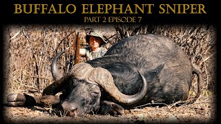 Buffalo amp Elephant Sniper  Valley of Generations Part 2  UNTAMED Episode 7 [upl. by Aciretal854]