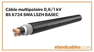 Câble multipolaire 061 kV BS 6724 SWA LSZH BASEC [upl. by Ientruoc]