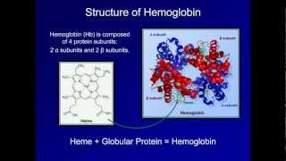 Dyshemoglobinemia Methemoglobin and Carbon Monoxide Poisoning ABG Interpretation  Lesson 19 [upl. by Sonafets]