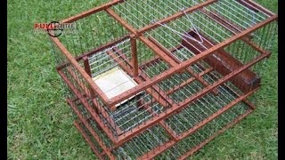 Trampera Multicaptura Sistema Molino quotSpiritquot  Multi Catch Bird Trap [upl. by Ahtanaram343]