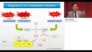 treatment of C3 glomerulopathy eraedta2018 [upl. by Tilden]